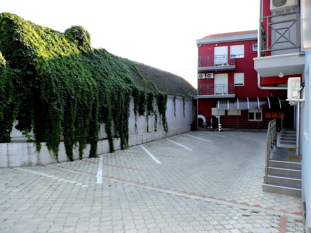 B&B Zmajevo Gnezdo 021 Sremska Kamenica Bagian luar foto